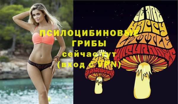 МДПВ Алексеевка