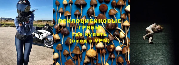 МДПВ Алексеевка
